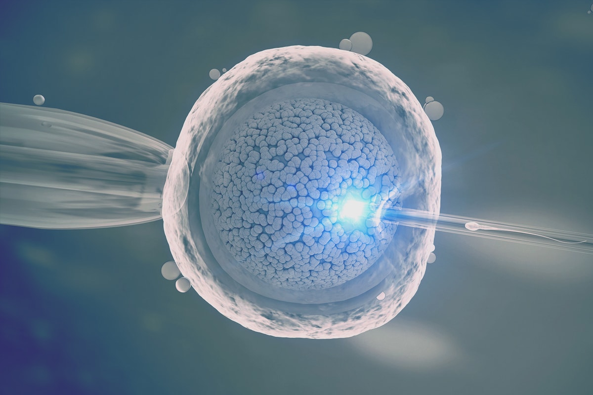 Fécondation In Vitro Procédure Taux De Réussite Et Effets Secondaires 6766